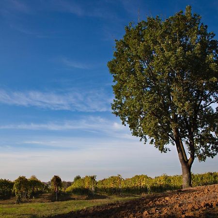 Le Stanze Di Bacco Βίλα Monteveglio Εξωτερικό φωτογραφία