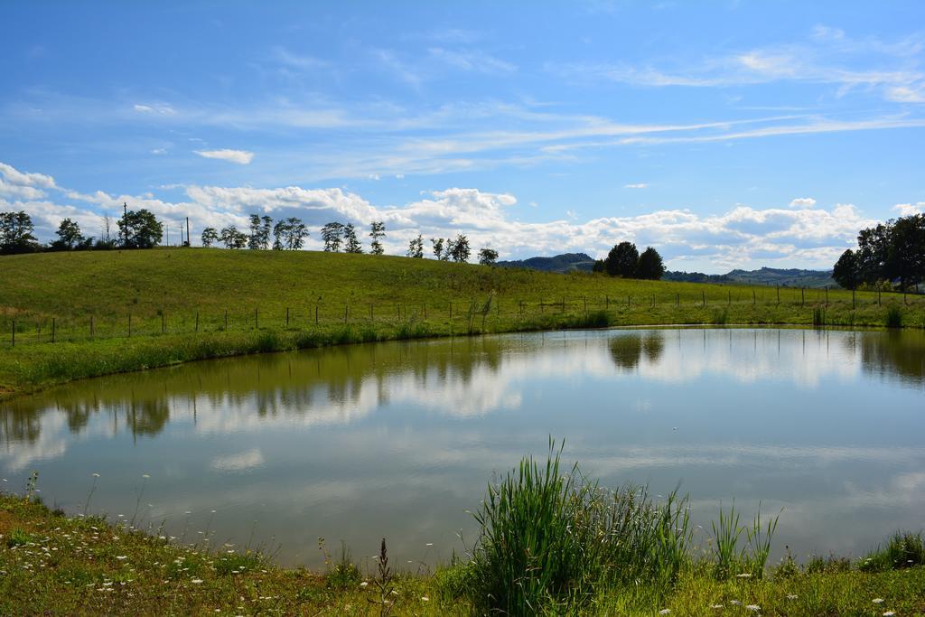 Le Stanze Di Bacco Βίλα Monteveglio Εξωτερικό φωτογραφία